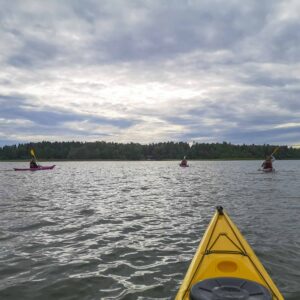 Rento melontaretki Rauman pohjoisessa saaristossa | Sandrian villi luonto