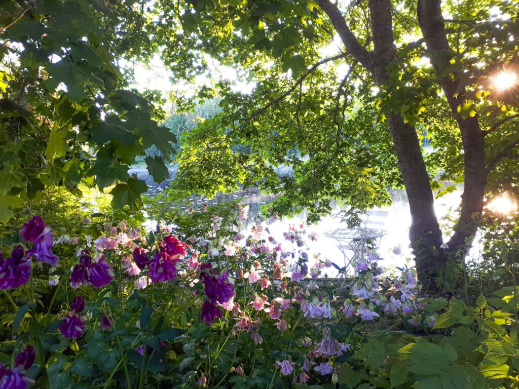 romanttinen ranta_eurhoia-1 Luonnollisen hyvä tiimipäivä Pinkjärvellä - Sandrian villi luonto & Eurhoia