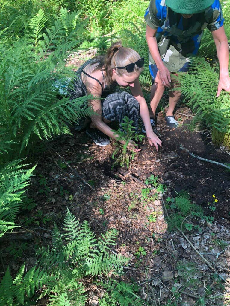 Rakkauden metsä on esimerkki uudistavan matkailun palvelusta Suomessa